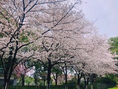 -昆山城市公园