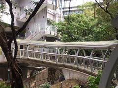 -香港大学