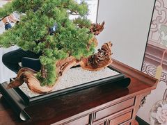 -顺峰(农展馆店)