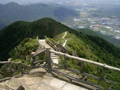 android_upload_pic-清溪森林公园