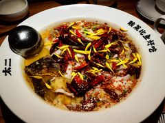 -太二酸菜鱼(汕头苏宁广场店)