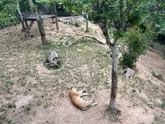 -西霞口神雕山野生动物世界