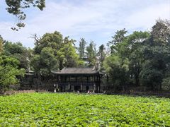 -房湖公园