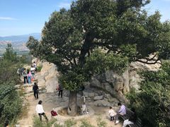 -北京鹫峰国家森林公园