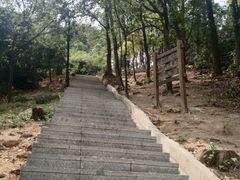 -火炉山森林公园