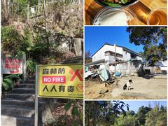 -马峦山郊野公园