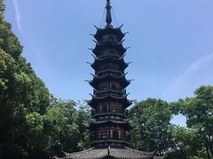 -上海佘山国家森林公园西佘山园