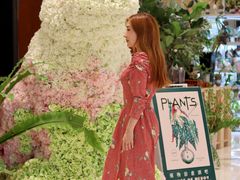 -PlantsEatery·植物食堂(REX春熙店)