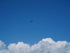 -新疆那拉提国家旅游度假区