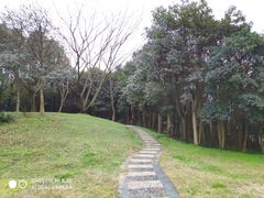 -武汉交通职业学院