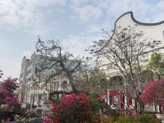 -赤坎·广东华侨国际旅游度假区