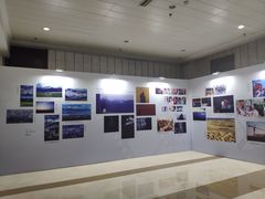 -杭州文化广播电视集团