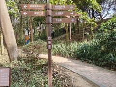 -阳台山森林公园