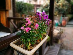-威廉的太妃糖酒店(杭州西湖青芝坞店)