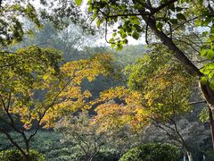 -南京市江宁方山