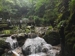 -牛背梁国家森林公园
