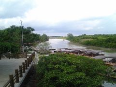 -东寨港红树林旅游区