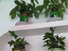 -清真鸿起来饭庄(复兴路店)