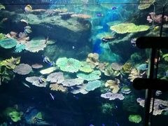 -暹罗海洋世界