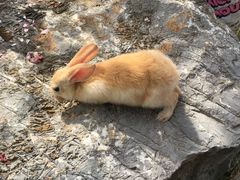 -镇江市南山风景名胜区竹林景区