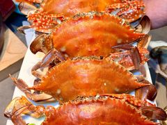 -日月明小渔村•海肠捞饭•大连海鲜(星海广场店)