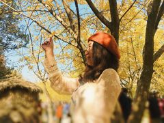-千年银杏谷文化旅游区