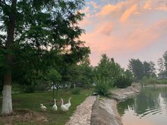 -中家鑫园温泉酒店鑫悦汤泉