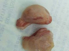 -菲丽丝宠物医院·24小时·猫科中心·免疫点(淮海分院)