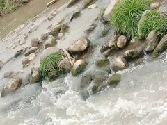 -洨河生态公园