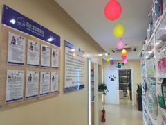 -芭比堂动物医院·24小时·眼科中心(深圳中心)