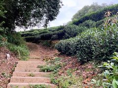 -西湖风景区十里琅珰-五云山