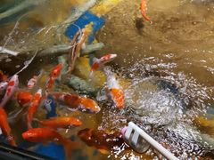 -太平洋海底世界