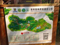-西双版纳原始森林公园
