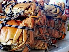 -乡乐园蟹庄·阳澄湖农家乐