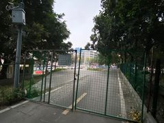 -广东花都湖国家湿地公园