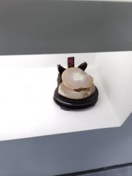 -ZELL·泽尔医疗美容