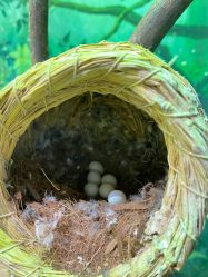 -Zoolung Zoolung动物主题公园(海信广场店)