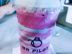 -飞行喵MR PILOT|猫舍·猫咖(静安大融城店)