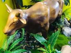 -炊烟小炒黄牛肉(中心印象城店)