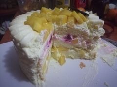 -维尔纳斯·生日蛋糕·动物奶油冰淇淋蛋糕(六里桥店)