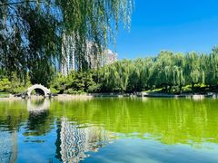 -团结湖公园