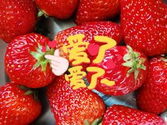 -哈尔信食品超市(哈尔滨王府井购物中心店)
