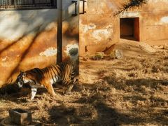 -昆明动物园