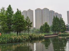 -洋湖国家湿地公园