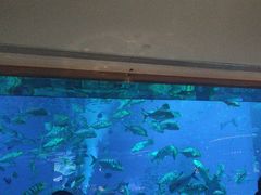 -亚特兰蒂斯•OSSIANO奥西亚诺海底餐厅