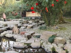 -兰亭风景区