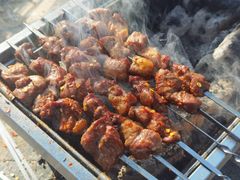 -北京上庄水库尚野露天户外自助烧烤