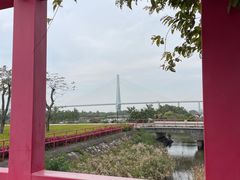 -芒洲湿地公园
