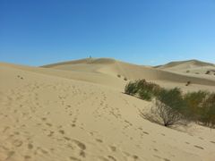 -亿利库布其七星湖沙漠生态旅游区