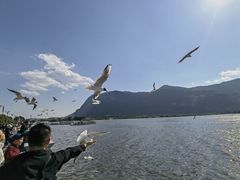 -滇池海埂公园